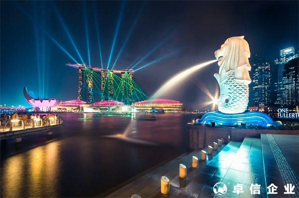 新加坡公司一年一度的股東大會是什么？