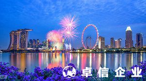 注冊新加坡公司可選結(jié)構(gòu)類型有哪些
