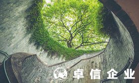 新加坡公司需要年審嗎 新加坡公司年審詳解